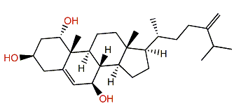 Sinugrandisterol A